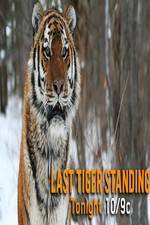 Watch Discovery Channel-Last Tiger Standing Megavideo