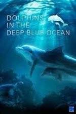 Watch Dolphins in the Deep Blue Ocean Megavideo