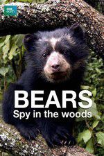 Watch Bears: Spy in the Woods Megavideo