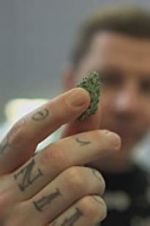 Watch Professor Green: Is It Time to Legalise Weed? Megavideo