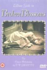 Watch Broken Blossoms or The Yellow Man and the Girl Megavideo
