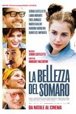 Watch La bellezza del somaro Megavideo