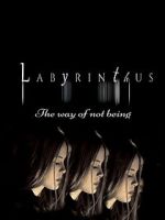 Watch Labyrinthus: The Way of Not Being Megavideo