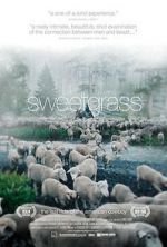 Watch Sweetgrass Megavideo