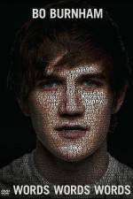 Watch Bo Burnham - Words Words Words Megavideo