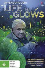 Watch Attenborough\'s Life That Glows Megavideo