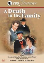 Watch A Death in the Family Megavideo