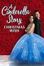 Watch A Cinderella Story: Christmas Wish Megavideo