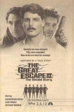 Watch The Great Escape II: The Untold Story Megavideo
