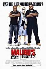 Watch Malibu's Most Wanted Megavideo
