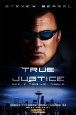 Watch True Justice: Brotherhood Megavideo