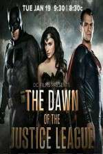 Watch Dawn of the Justice League Megavideo