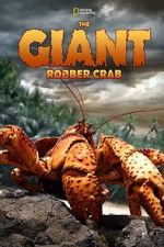 Watch The Giant Robber Crab Megavideo