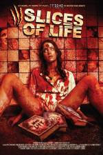 Watch Slices of Life Megavideo