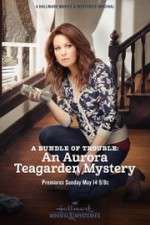 Watch A Bundle of Trouble: An Aurora Teagarden Mystery Megavideo