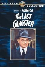 Watch The Last Gangster Megavideo