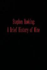 Watch Stephen Hawking A Brief History of Mine Megavideo