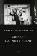 Watch Chinese Laundry Scene Megavideo