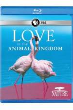 Watch Nature: Love in the Animal Kingdom Megavideo