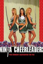 Watch Ninja Cheerleaders Megavideo
