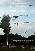 Watch Birdemic: Shock and Terror Megavideo