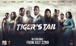 Watch Tiger\'s Tail Megavideo