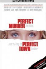 Watch Perfect Murder Perfect Town JonBenet and the City of Boulder Megavideo