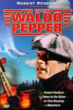 Watch The Great Waldo Pepper Megavideo