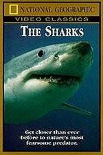 Watch National Geographic The Sharks Megavideo