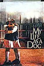 Watch My Life As A Dog Megavideo