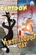 Watch Ventriloquist Cat Megavideo