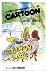 Watch Gallopin\' Gals Megavideo