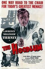 Watch The Hoodlum Megavideo