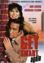 Watch Get Smart, Again! Megavideo