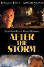 Watch After the Storm Megavideo