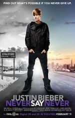 Watch Justin Bieber: Never Say Never Megavideo