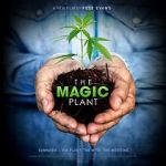 Watch The Magic Plant Megavideo