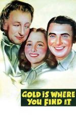 Watch Gold Is Where You Find It Megavideo