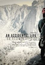 Watch An Accidental Life Megavideo