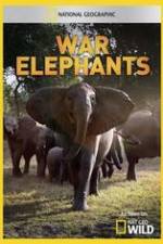 Watch War Elephants Megavideo