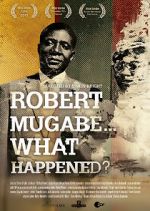 Watch Robert Mugabe... What Happened? Megavideo