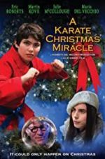 Watch A Karate Christmas Miracle Megavideo