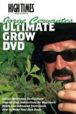 Watch High Times: Jorge Cervantes Ultimate Grow Megavideo