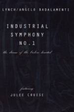 Watch Industrial Symphony No 1 The Dream of the Brokenhearted Megavideo