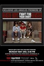 Watch Beastie Boys: Fight for Your Right Revisited Megavideo