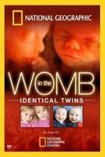 Watch National Geographic: In the Womb - Identical Twins Megavideo