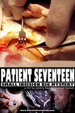 Watch Patient Seventeen Megavideo