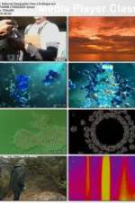 Watch National Geographic - How Life Began (2010) Megavideo