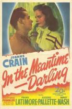 Watch In the Meantime Darling Megavideo