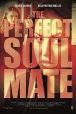 Watch The Perfect Soulmate Megavideo